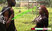 乡村动物园的热辣约会 - Mboa xvideos独特的提供